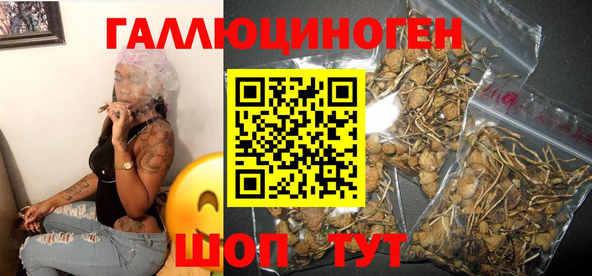 Галлюциногенные грибы Magic Shrooms  Псилоцибиновые грибы Psilocybine cubensis  Вход с VPN  Дербент 